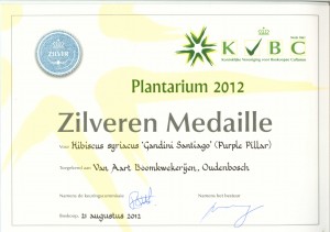 Zilveren Medaille1 300x211 Captions